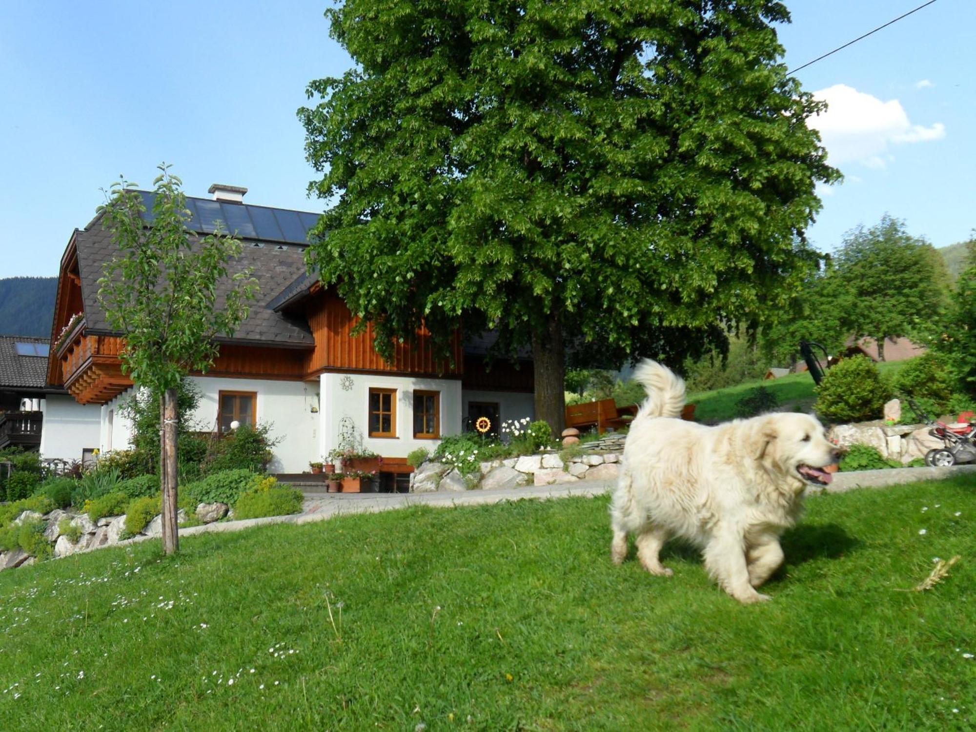 Вілла Huettstaedterhof Familie Poetsch Айген-ім-Енсталь Екстер'єр фото