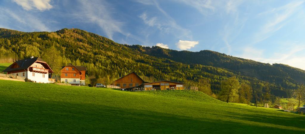 Вілла Huettstaedterhof Familie Poetsch Айген-ім-Енсталь Екстер'єр фото
